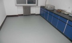 河北省大城縣質監局商用黄瓜视频在线看