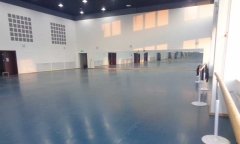 沈陽市渾南新區沈陽歌舞團舞蹈黄瓜视频在线看