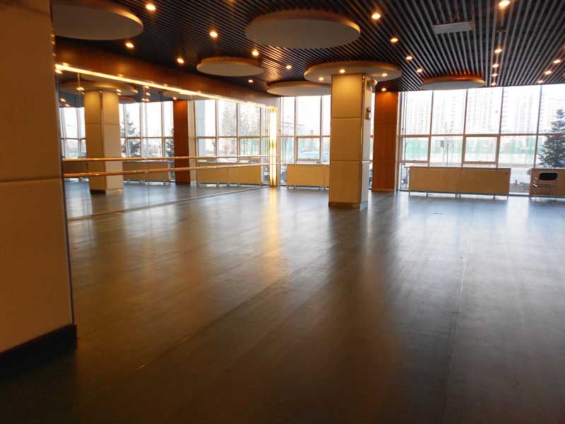 內蒙古康巴什新區鄂爾多斯市第一中學舞蹈黄瓜视频在线看