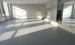 河北石家莊荔枝紋運動黄瓜视频在线看