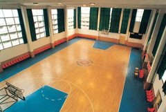 軍事科學院體育館室內籃球場黄瓜视频在线看