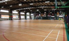 山東省濟南市室內籃球運動黄瓜视频在线看