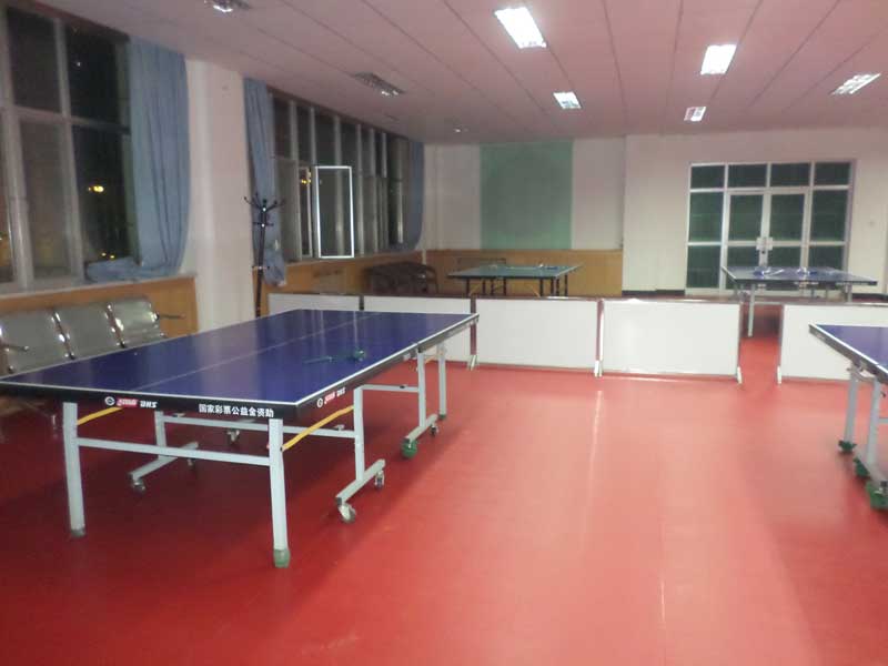 甘肅pvc塑膠運動黄瓜视频在线看