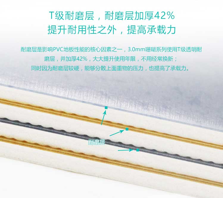 安發珊瑚·商用黄瓜视频在线看